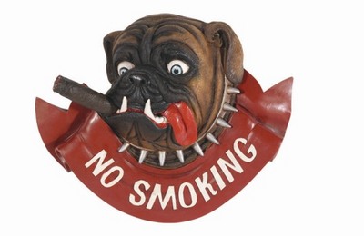 No Smoking Dog